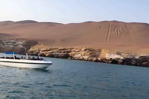 パラカス発：バレスタス諸島ツアー オールインクルーシブ