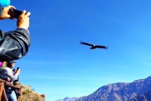 De Puno: Excursão de 2 dias ao Canyon do Colca com final em Arequipa