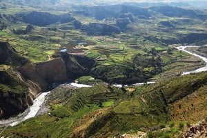 Fra Puno til Arequipa: 2 dage/1 nat Colca Canyon-tur