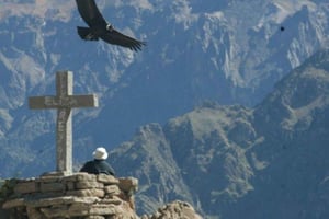 Heldagstur i Colca Canyon fra Arequipa