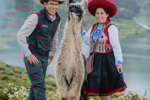 Gåtur med alpakaer og lamaer i Chinchero