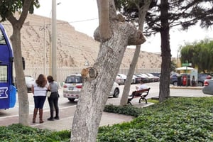 Hop on - Hop Bus in Miraflores