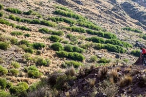 Trek de Huchuy Qosqo