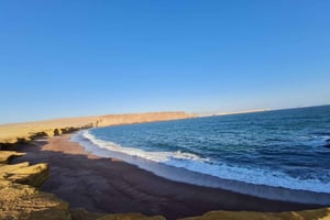 Da Ica: Tour Isole Ballestas e Paracas - servizio condiviso