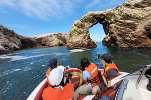 Tour di Ica-Paracas: isole, riserva e ritorno