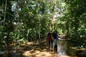 Iquitos : Aventure et expédition en Amazonie, circuit de 3 jours