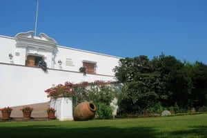 Museo Larco, Taverna Pisco e Circuito dell'Acqua Magica Serata