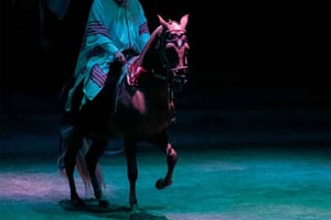 Lima: Pachacámac, almoço show e cavalos de passo