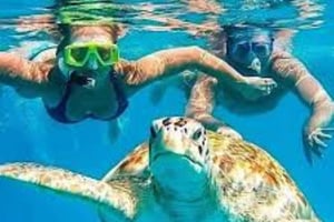 Máncora: Órganos Beach and Turtle Swimming Tour