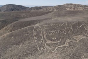 Nazca: Linie Palpa i wycieczka do muzeum Marii Reiche