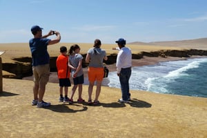 Paracas: Ballestas Island & Nature Reserve all inclusive