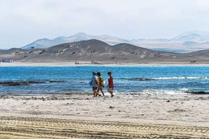 Paracas: passeggiata nella Riserva Nazionale di Paracas