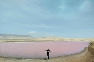 Paracas: Paracasin kansallispuisto Puolipäiväretki Paracasin kansallispuistoon