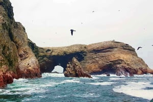Terminal de cruzeiros de Pisco: excursão às Ilhas Ballestas e Paracas com transporte
