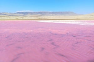 Visite privée de la réserve nationale de Paracas et du lagon rose