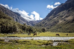 Protected Natural Areas