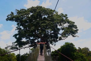 Puerto Maldonado: avventura a Tambopata + pranzo + 5 attività