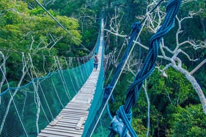Puerto Maldonado: Tambopata National Reserve 3-dagars utflykt