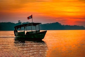 Puerto Maldonado: Tambopata nattlig djungeltur