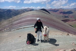 Fra Cusco: Palccoyo Rainbow Mountain 1-dags trekkingtur