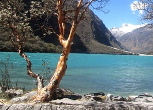 Route Santa Cruz Llanganuco Ravine