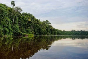 Exploração de Tambopata: 4 dias de natureza no Lago Sandoval