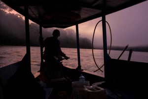 Collpa de Guacamayos de Tambopata 4 días/3 noches