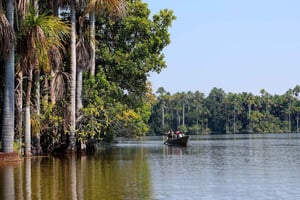 Tambopata River Parrot and Macaw Photography Tour
