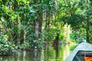 SAFARI ANIMAUX TAMBOPATA 3J/2N