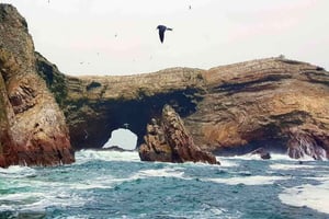 Tour a Huacachina y Paracas día completo