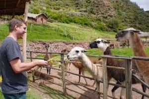 Transportation Tipon round trip with waiting time