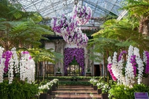 Kennett Square: Adgangsbillet til Longwood Gardens
