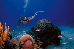 Try Scuba Diving in Racha Yai/noi: 3 Dives for Non-Certified