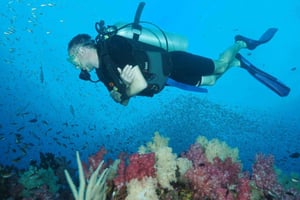 Da Phuket: Escursione di un giorno intero per le immersioni subacquee alle isole Similan