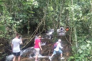 Vanuit Phuket: Regenwoudwandeling met gids en lunch