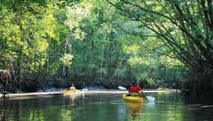 John Gray's Sea Canoe