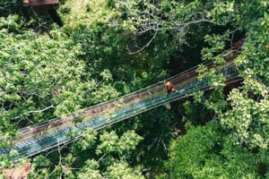 Khao Lak : aventure privée VIP en tyrolienne et expérience en forêt