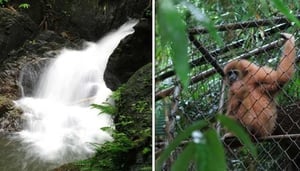 Khao Phra Thaeo Wildlife Park