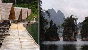 Limestone Lake Rainforest Tours