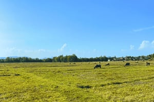 Comunidade de cultura local em Koh Yao Yai