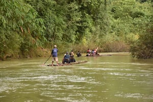 트리하우스 리조트에서 즐기는 액티비티와 숙박 패키지