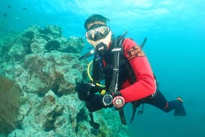 プーケット3ダイブ ピピ島/シャークポイント スクーバダイビング デイトリップ