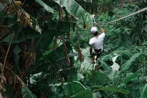 Phuket: Dia de 4 elementos com a expedição Zipline Adventure