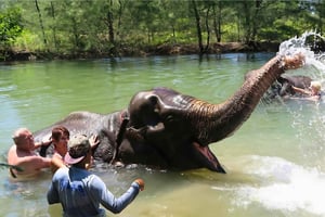 Phuket: Bamboo & Water Rafting with Elephant Bathing
