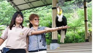 Phuket Bird Park