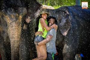 From Phuket: Elephant Jungle Sanctuary Feed and Shower Trip