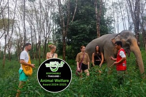 Phuket: wycieczka do sanktuarium słoni, lekcja gotowania i lunch