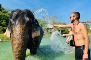 Phuket: Heldags Elephant Explorer på Phuket Elephant Care