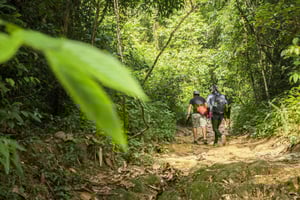 Phuket: Jungle Trekking Experience at Khao Phra Taew