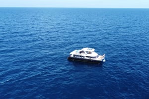 Phuket: Premium Catamaran Tour to Phi Phi & Coral Island